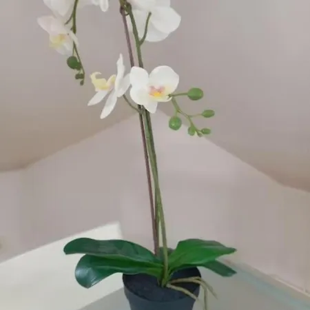 Apartment Lalique 540 Hypercentre *