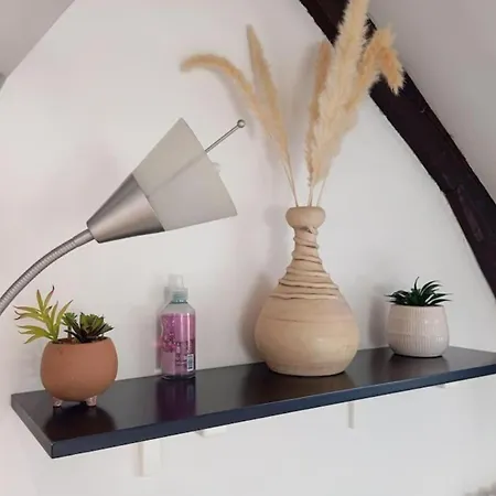 Lalique 540 Hypercentre Apartment Reims