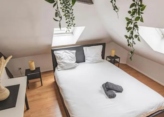 Lalique 540 Hypercentre Апартаменты