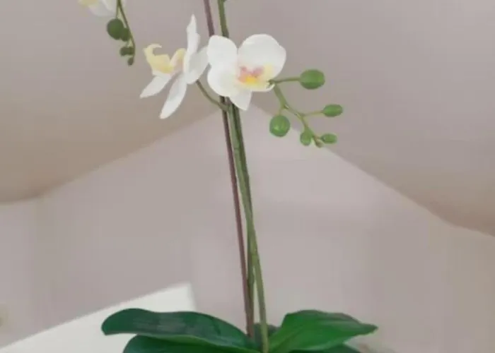 Апартаменты Lalique 540 Hypercentre *