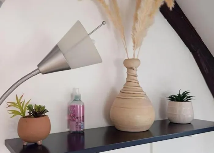 Lalique 540 Hypercentre Апартаменты Реймс